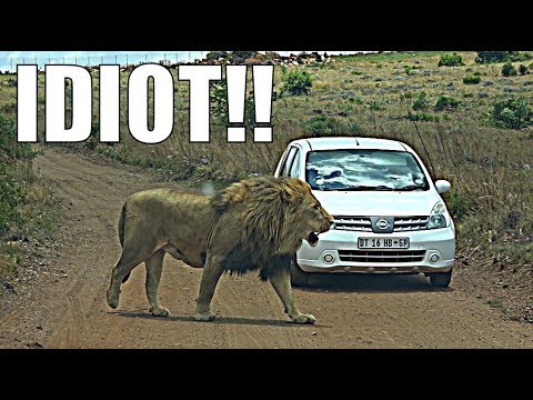 IDIOT ON SAFARI | RENTAL CAR SAFARI!