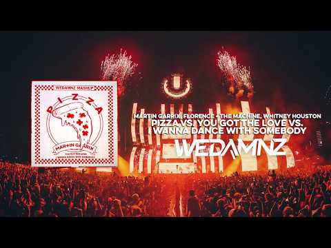 Martin Garrix - Pizza vs. You Got The Love vs. I Wanna Dance With Somebody (WeDamnz Mashup)