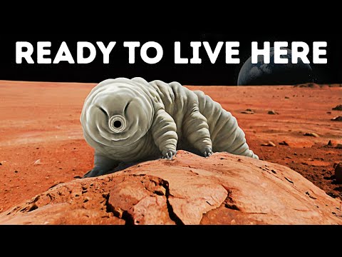 The Only Creature That Can Survive On Mars