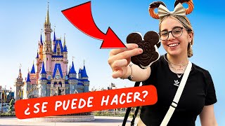 RECREANDO el SANDWICH de HELADO de DISNEY | Ailu Tokman ✨