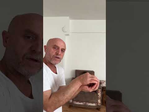 الترند مع زيد الكيوت#زينب#زيزون#عسولة#زيد#شفا#