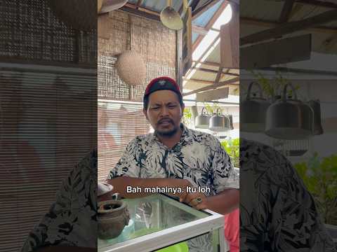 Cari daun muda