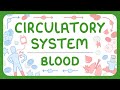 Blood Components and Functions