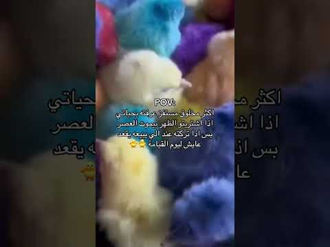 #ترند#short#مشاهير#السعودية#اكسبلور#ضحك