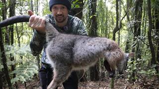 Hunt, Gather, Cook - Wallaby Tail Stew 🦘🌿