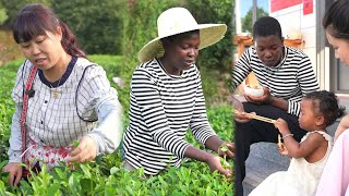 All the guys were busy, I went to help Mei pick tea leaves today