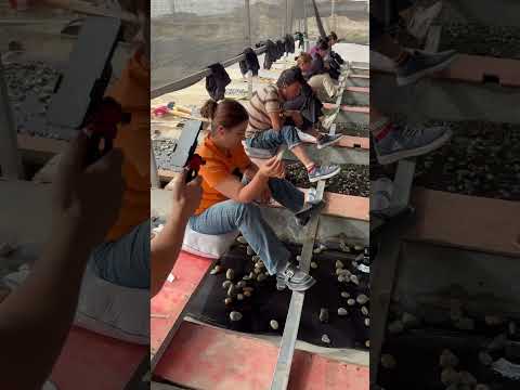 EL TRABAJO DE OBSERVAR ROCAS: PACIENCIA Y FORTUNAS OCULTAS