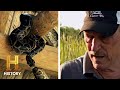 Everglades Hunting and Survival Insights