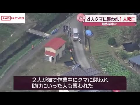 秋田・東成瀬村で男女4人がクマに襲われ1人が死亡　クマは猟友会に駆除される (2025/10/24 17:16)