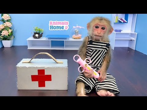 🔴 BiBi Animals Home Live 24/7 | Monkey Baby BiBi Farmer BiBi obedient take care of her friends