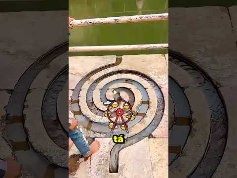 Essa Água Parece Uma Roda-Gigante! 🎡💧