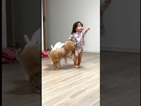 破天荒な赤ちゃんたちに実況つけてみた。 #破天荒 #実況 #赤ちゃん #apt