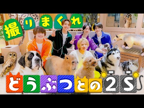 ACEes【どっちが可愛い???】動物たちと僕たち…笑笑