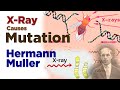 Genetics and Mutation Discoveries