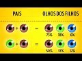 Probabilidades Genéticas e Características Hereditárias