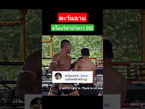 #ตะวันฉาย มาขโมยวิชา #บัวขาว #ข่าวมวย #มวยไทย