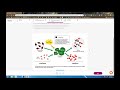 Understanding Photosynthesis and Chloroplasts