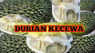 DURIAN KECEWA