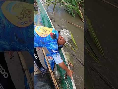 #pesca #monstruo #avetura #fishin #fishing