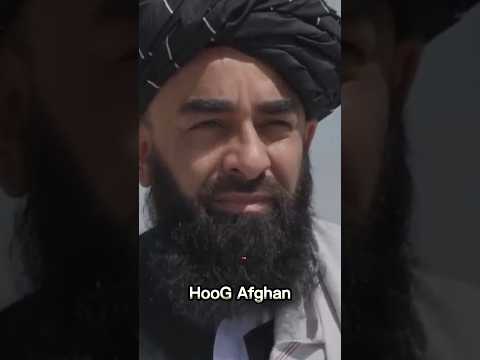 Zabihullah Mojahid attitude status || Taliban attitude status #shorts #taliban #viral
