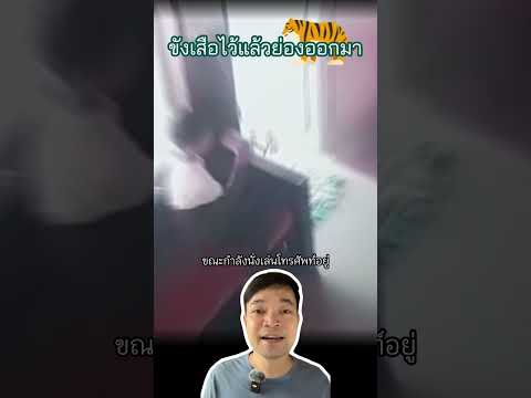 วัยรุ่นอินเดียสติดี ขังเสือไว้ในห้อง