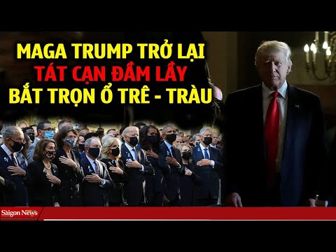 Cả nước Mỹ Rúng Động: TT Trump đã nổ máy TÁT CẠN ĐẦM LẦY khi Phe Dân chủ bị "gậy ông đập lưng ông"