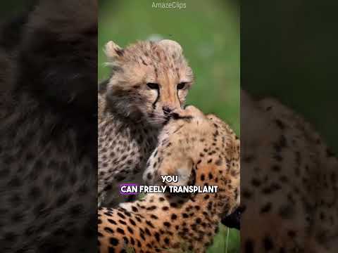 animal facts that you never knew!