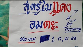 สูตรใบแดงอมตะยังไม่พลาด | งวด 1 กันยายน 2568