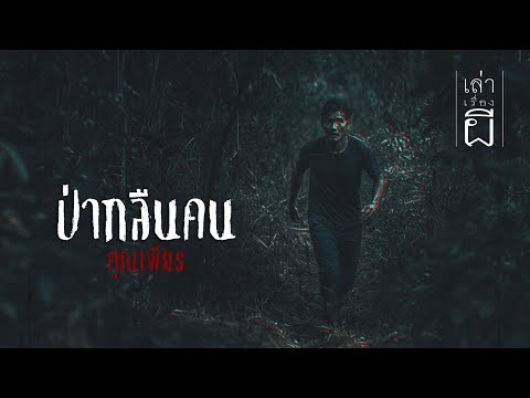 เล่าเรื่องผี EP.341 | ป่ากลืนคน