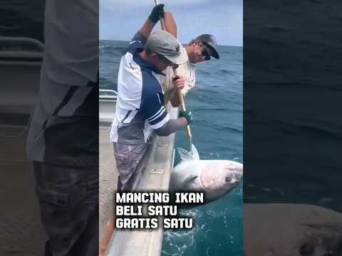 mancing satu dapat dua #mancing #fishing #mancingmania