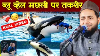 Blue whale machhali per takri by Maulana Jarjis Ansari 