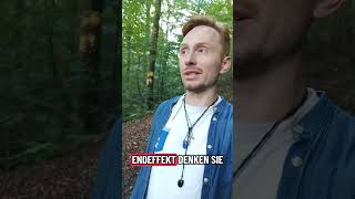 lebe dein Potenzial