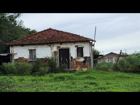 🚀 De um pequeno SONHO a uma GRANDE realidade: A história da Fabiana com a Galinha Balão! 🐓🔥