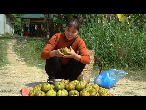 Climb trees to pick fruit to sell for money, feed ducklings and plant chives