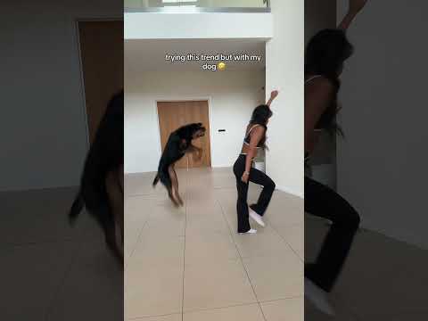 SHE WINS 🤣 @nalatheneedyrottie #rottweiler #dance