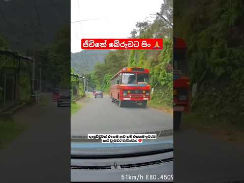 ඔටෝ බ්‍රේක් සිස්ටම් එක නිසා ජීවිත දෙකක් බේරුනා 🤩 #shorts #bus #car #bike #threewheeler #srilanka