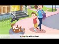 Understanding the Cat and Bat Scenario