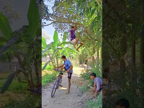 The bicycle was stolen