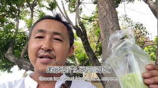祛魅2️⃣：这样的民主？不要也罢！