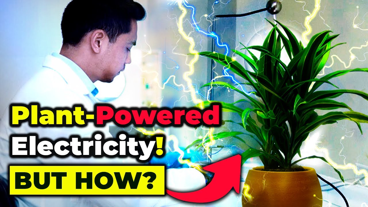 REVOLUTIONARY!! Scientists Create ELECTRICITY from PLANTS!!
