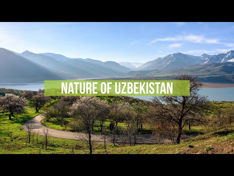 Nature of Uzbekistan