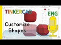 Understanding Shape Customization Properties