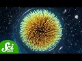 Understanding Black Holes and Spaghettification