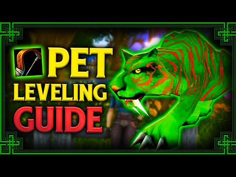 ULTIMATE Hunter Pet Leveling Guide for Classic Fresh