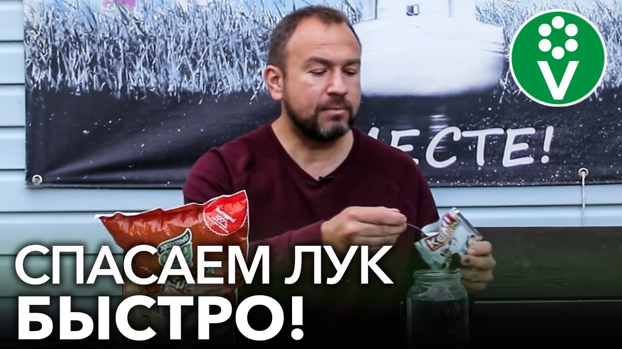 Луковая муха исчезнет через 20 минут после обработки!
