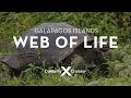 Galapagos Marine Ecosystem Insights