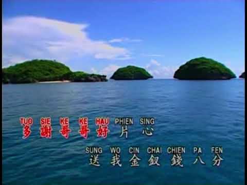 王威翔, 陳麗媚   洗菜心【Original Karaoke】