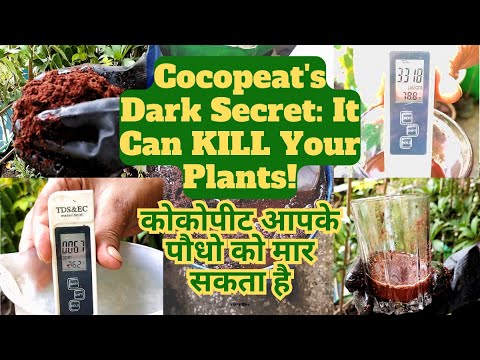 कोकोपीट का सच: यह पौधों को मार सकता है! (Cocopeat's Dark Secret: It Can KILL Your Plants!)