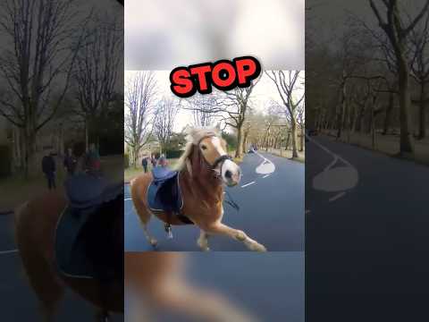 That Horse wouldn't Stop 😱😱 #shorts