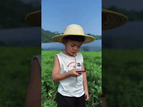 The father and son funny show the other activities movement #funny #fatherson #activities #family